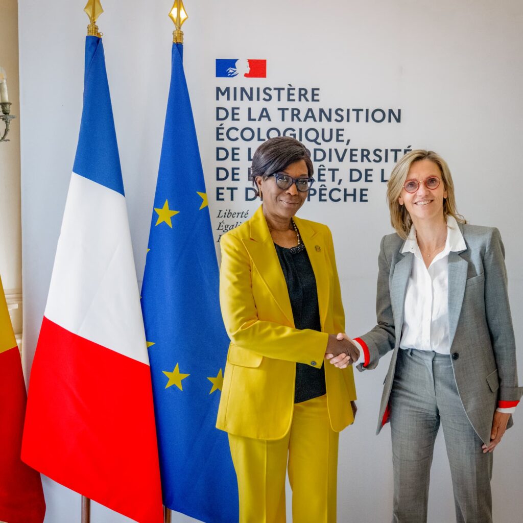 France-Congo: Agnès Pannier-Runacher s’entretient avec son homologue Arlette Soudan-Nonault